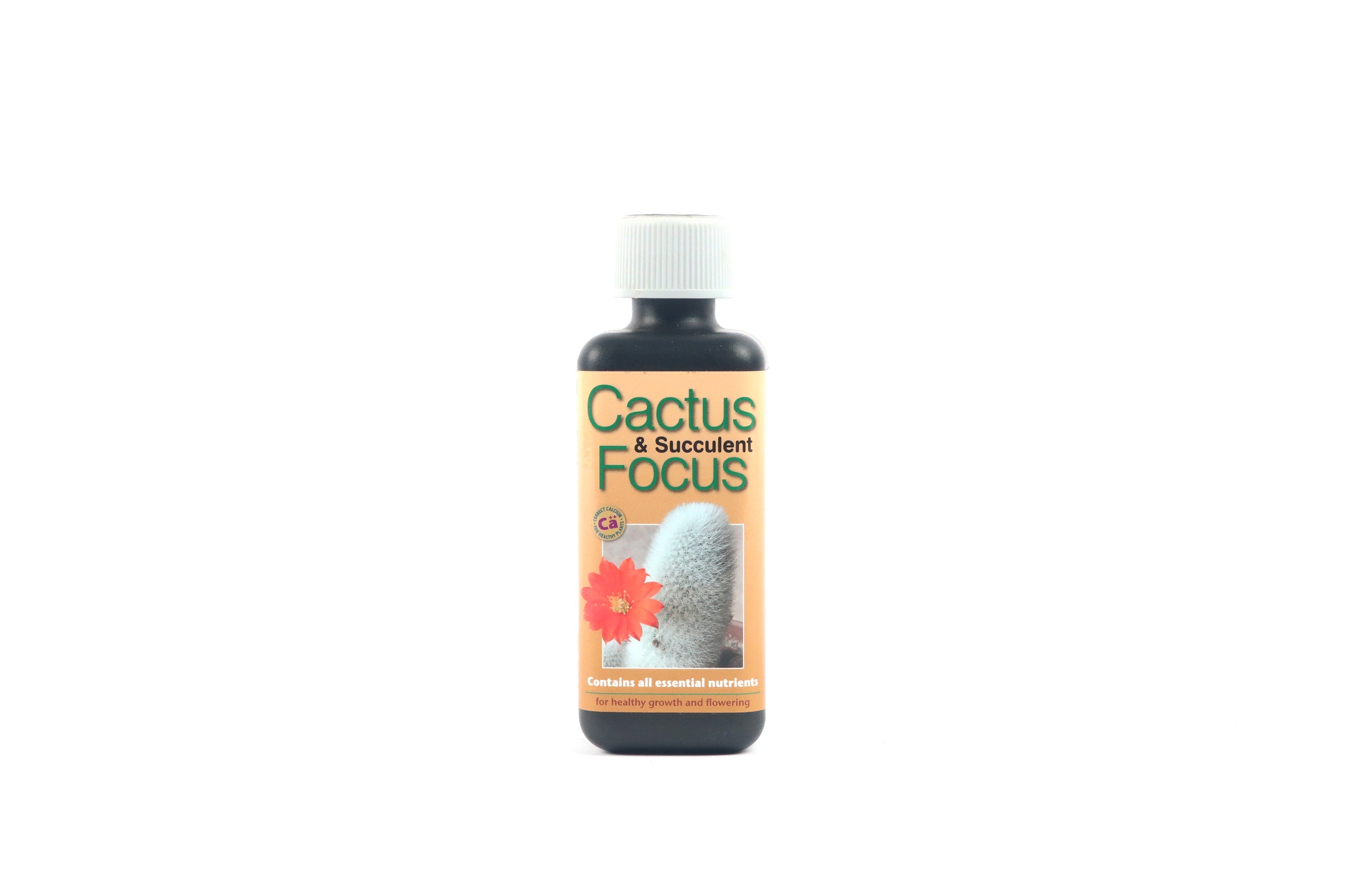 cactus and succulent focus Cactus & Succulent Focus Fertiliser – Conservatory Archives