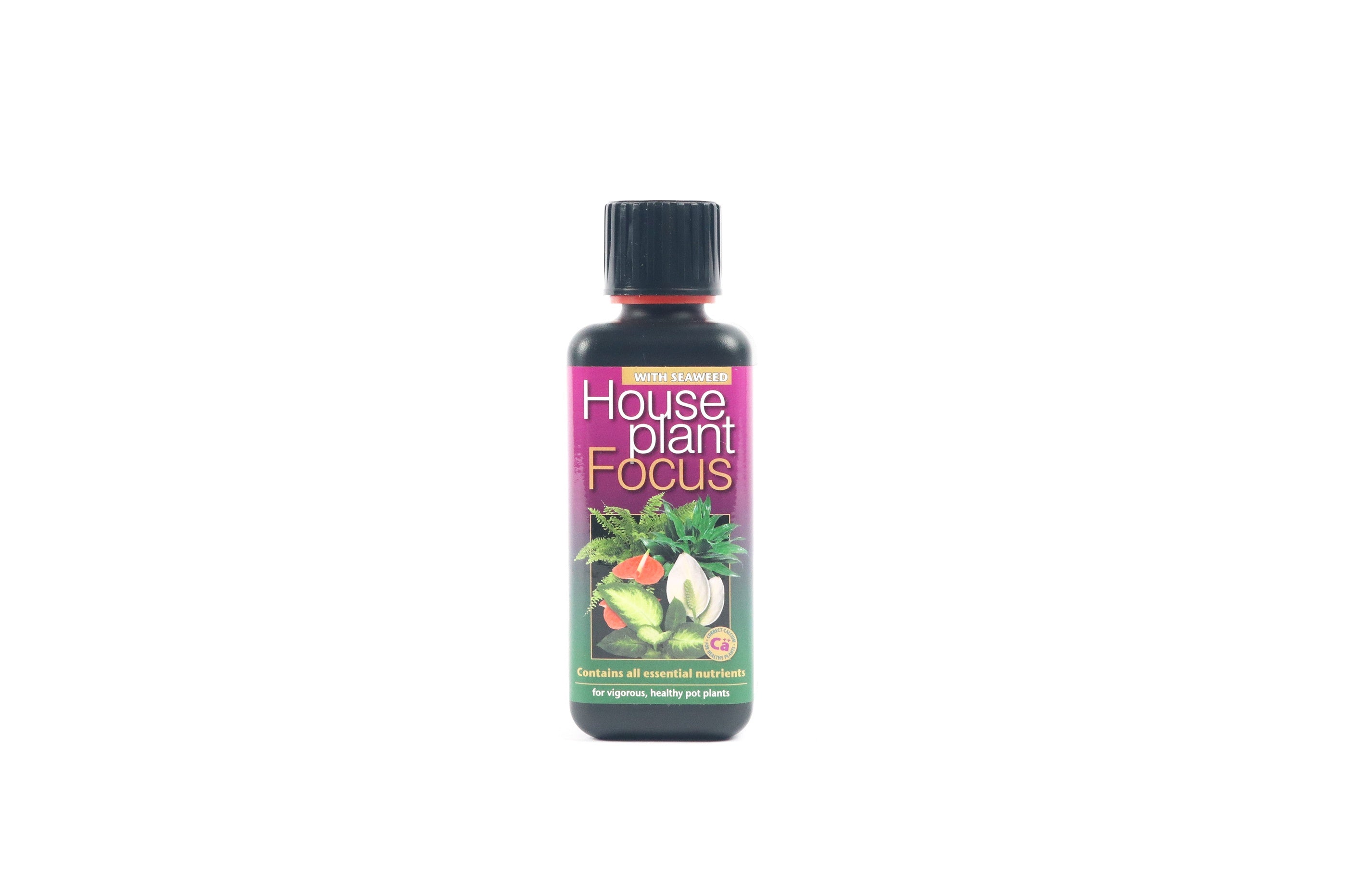 organic house plant focus Houseplant Focus Fertiliser – Conservatory Archives