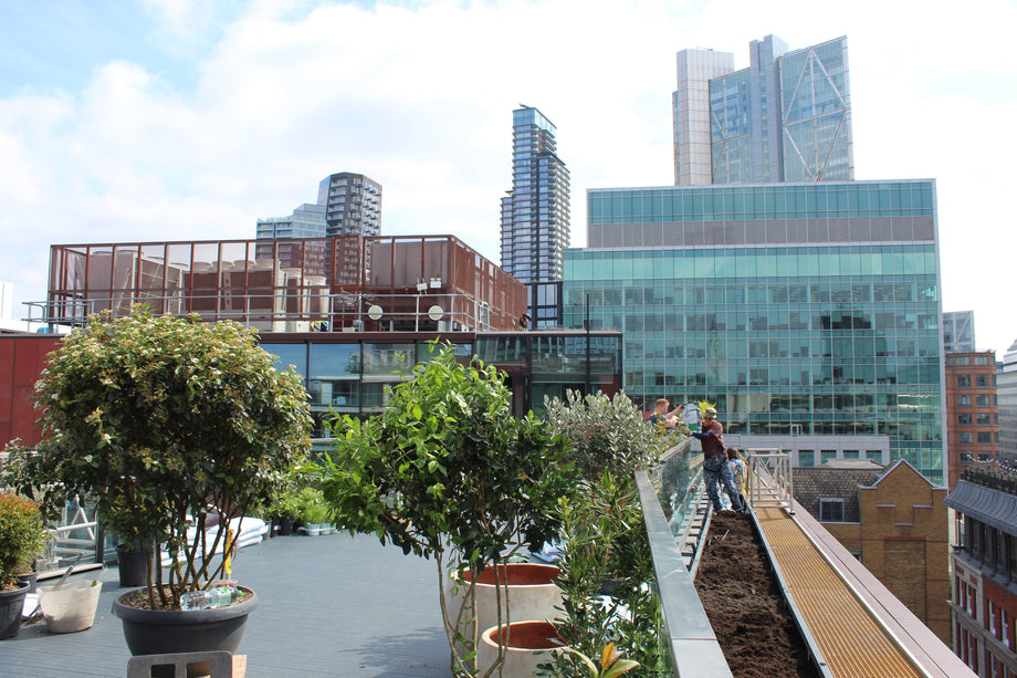 On Site: Projects & Maintenance