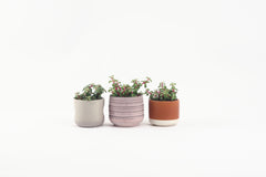 25 / 40 / Nursery pot