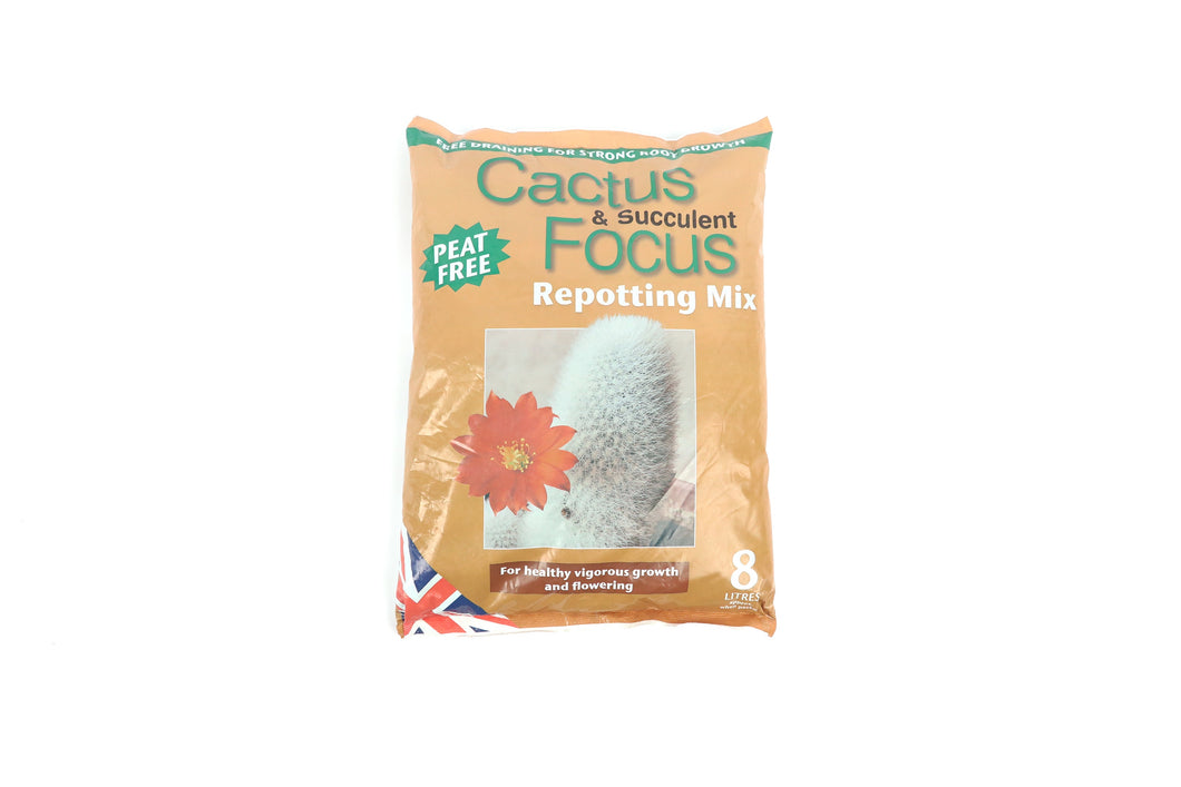 Cacti & Succulent Focus Repotting Mix Peat-Free