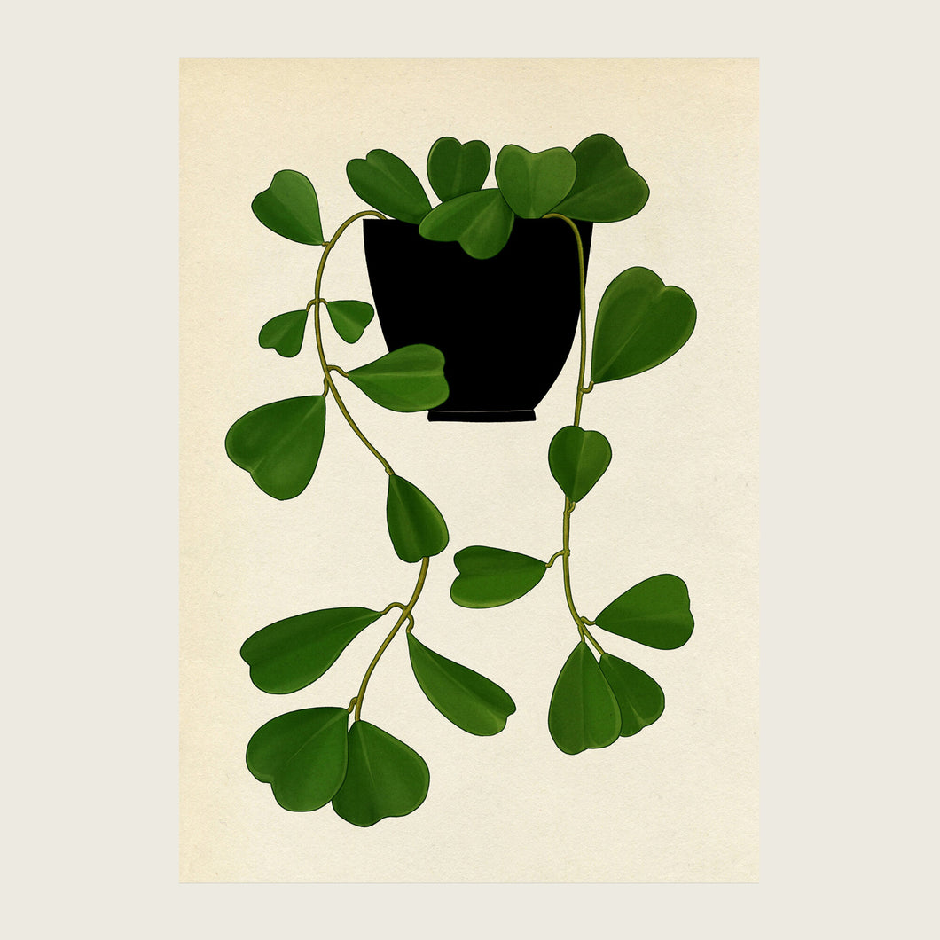 Katie Scott Illustrated Cards